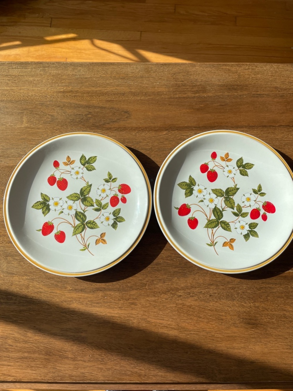 Strawberry Floral Ivory Dinner Plates with Gold Rim (Set of 2)